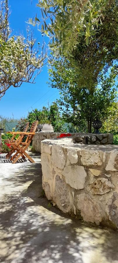 Margarita'S Stone House Διαμέρισμα Πλάτανος Εξωτερικό φωτογραφία